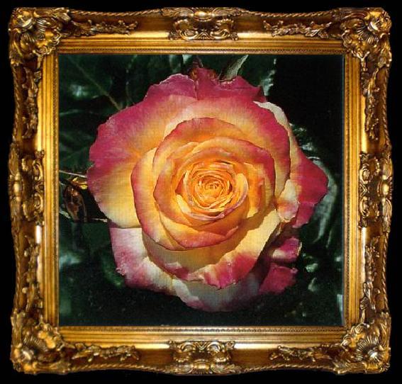 framed  unknow artist Still life floral, all kinds of reality flowers oil painting  161, ta009-2